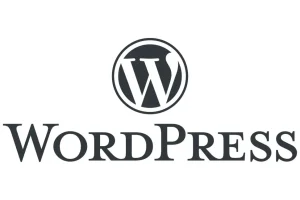 Digital marketing freelancer with WordPress expertise